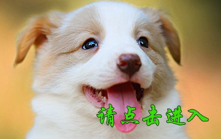 叮当