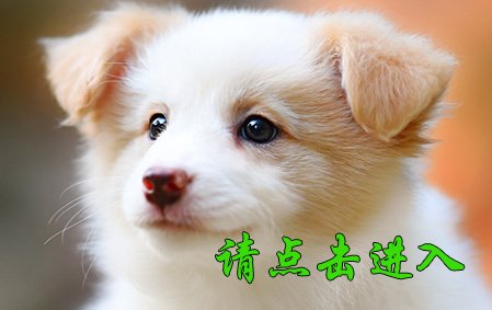 安琪 母D2