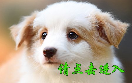 安琪 母D1