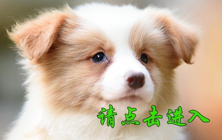 安琪 母D3