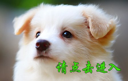 安琪 母D3