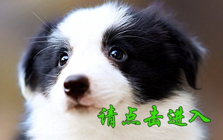 安琪 母D3