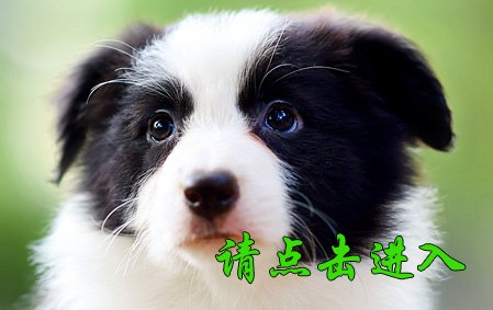 安琪 母D3