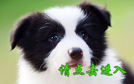 恭喜江苏王先生已结缘 布鲁 公C5