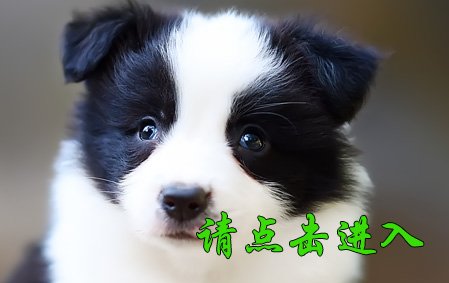 安吉拉