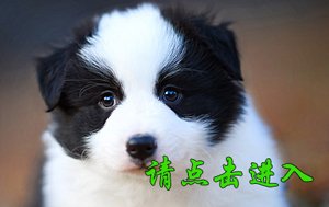 珞珞 公F2
