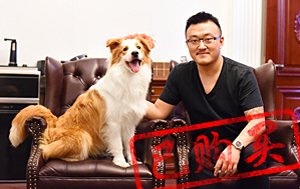 感谢天津张先生已购买LUCKY
