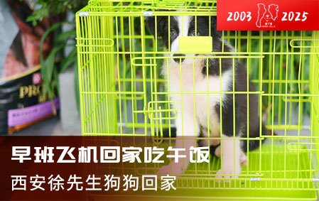 早班飞机回家吃午饭（西安徐先生）2025-7-10