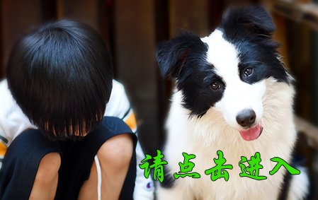 珞珞 公F2