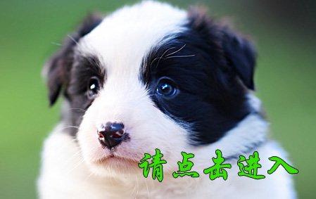 感谢山西王先生已结缘 薇薇 母G2