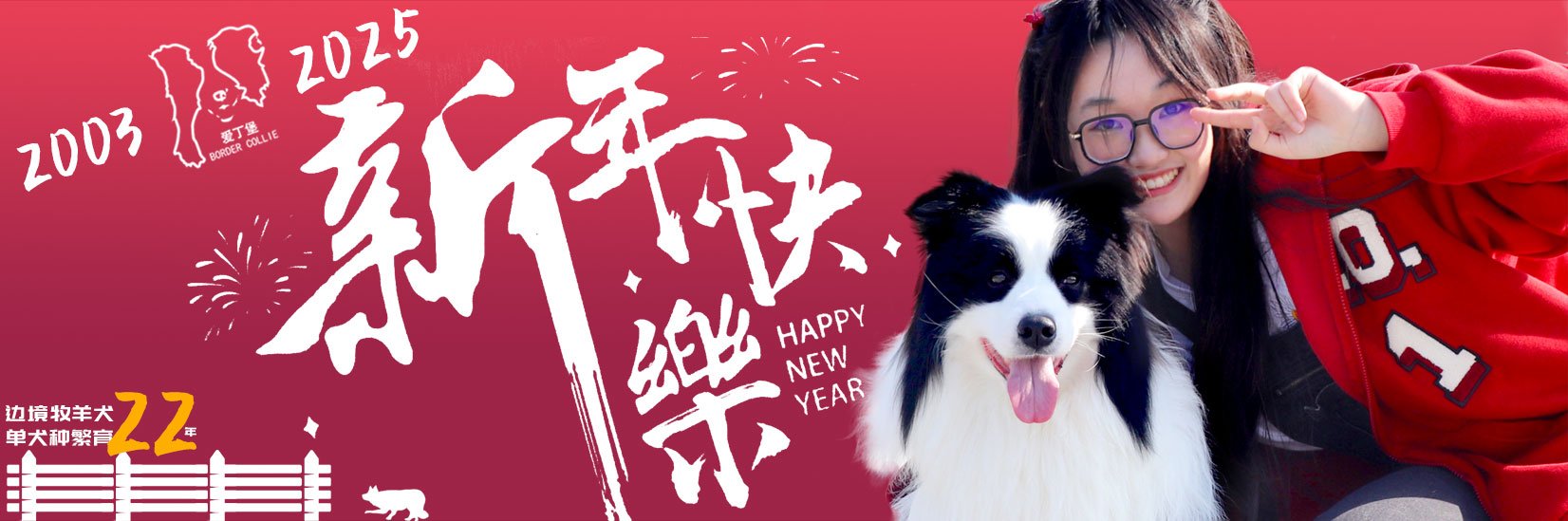 爱丁堡边牧祝大家新年快乐