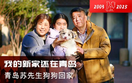 我的新家还在青岛（苏先生）2025-12-15