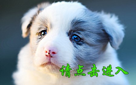 格格 公D1