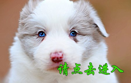 格格 公D3