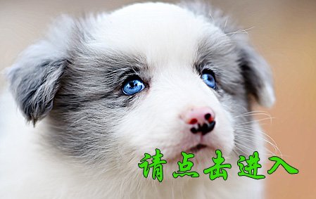 乐迪