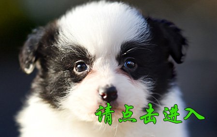 珞珞 母G3