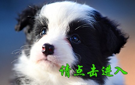 珞珞 母G5
