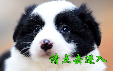 珞珞