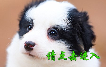 感谢北京李女士已结缘 珞珞 母G2