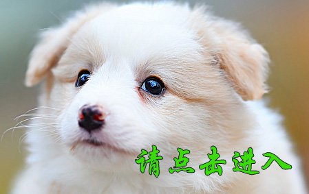安琪 公F3