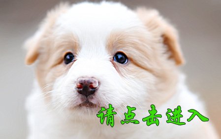 安琪 母F3