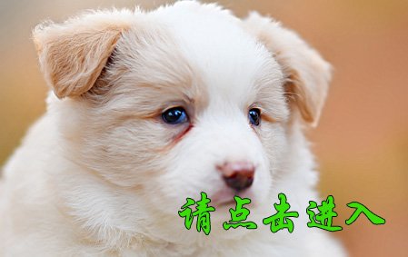 安琪 母F5