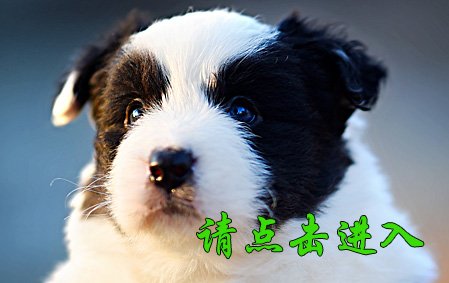 格格 公D7