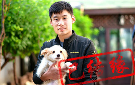 感谢烟台张先生已结缘 安琪 母F2