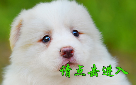 桑桑 母F2