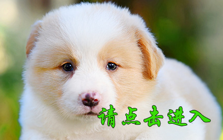 桑桑 母F3