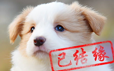 感谢成都尹小姐已结缘 Millie