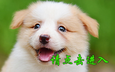 薇薇 公F2