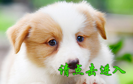 薇薇 公F1