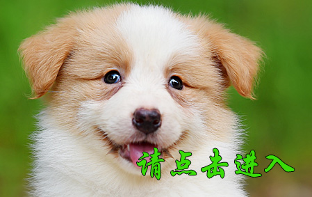 薇薇 母F2
