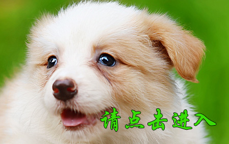 薇薇 母F3