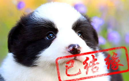 感谢绍兴缪女士已结缘 小满