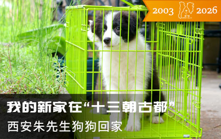 我的新家在“十三朝古都”（西安朱先生）2026-5-21