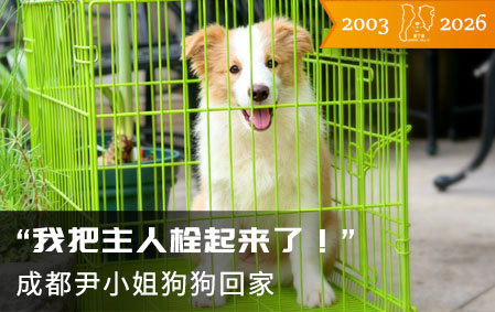 “我把主人栓起来了！”（成都尹小姐）2026-5-28