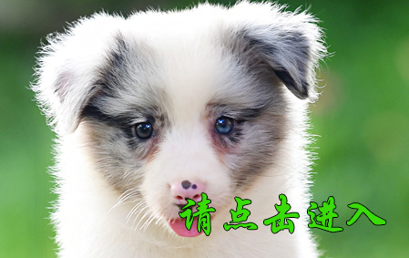 囡囡 母E1