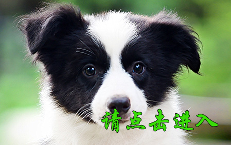 果果 母C1