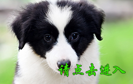 果果 公C1