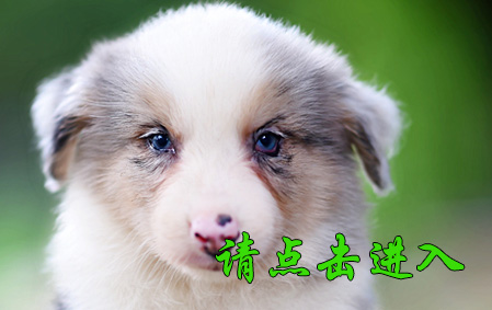 五一 公G1