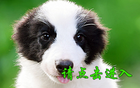 果果 公C2
