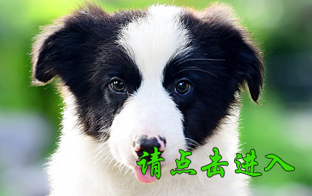 果果 公C3