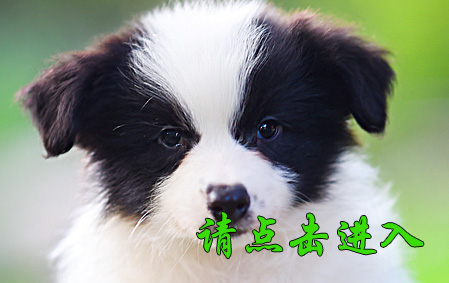 珂珂 母A1