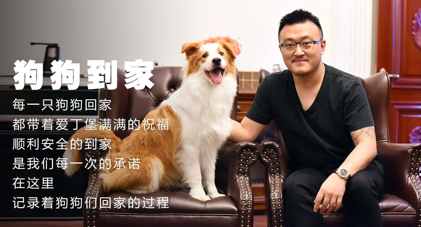 狗狗到家