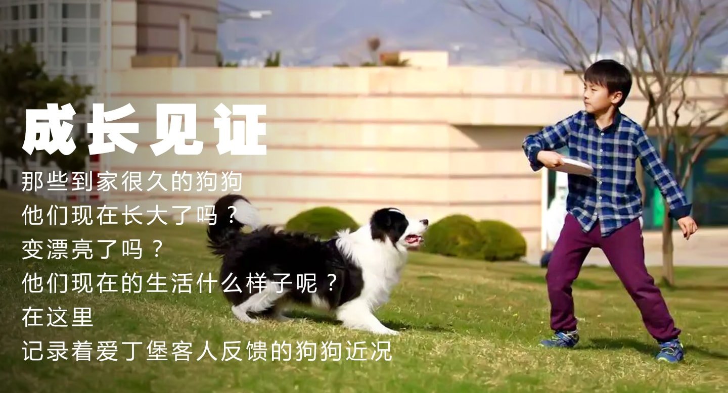 成长见证