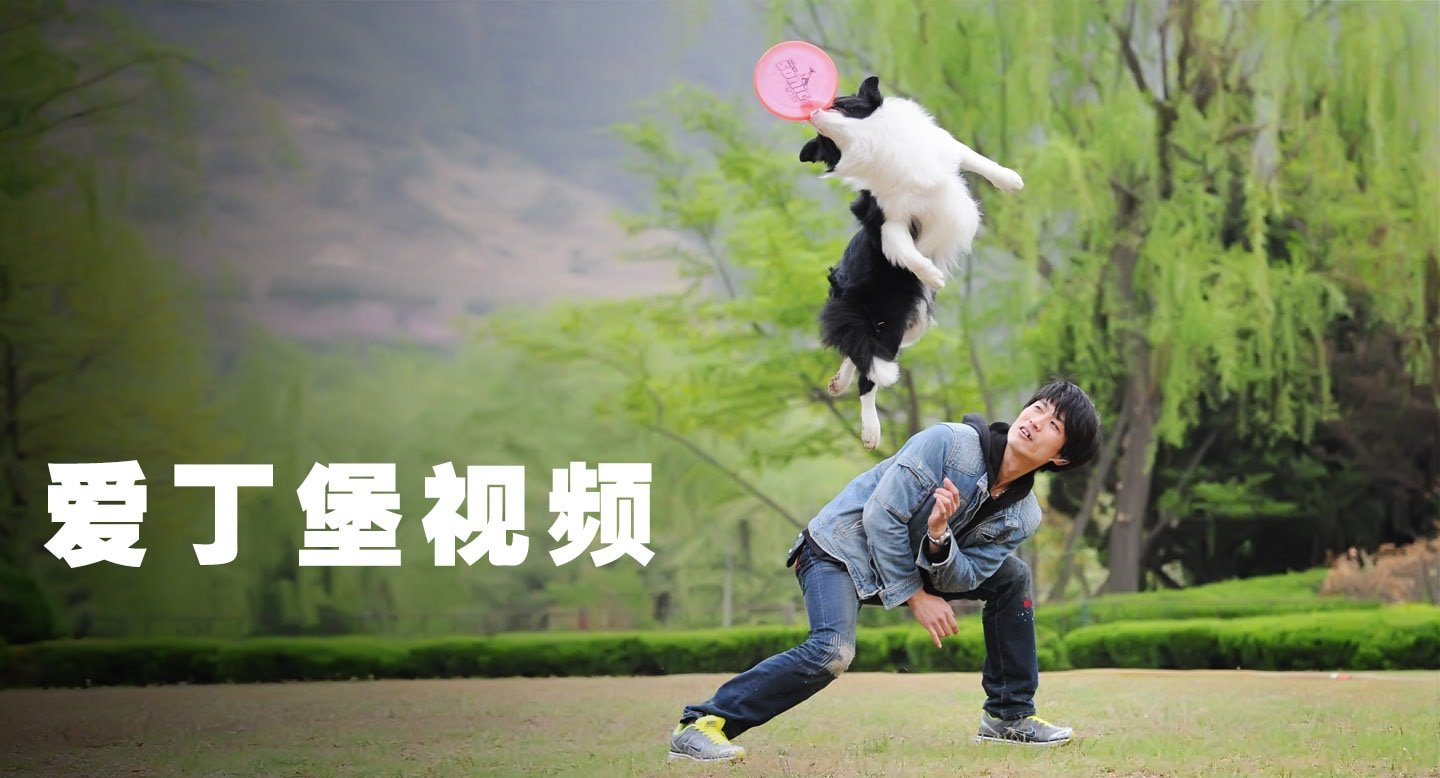 爱丁堡视频