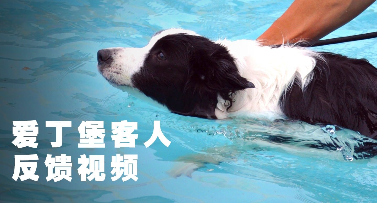 爱丁堡客人反馈视频