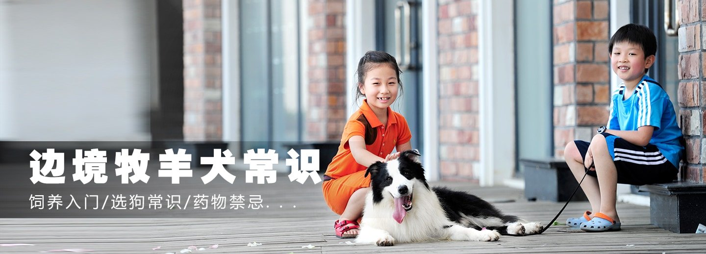 常识